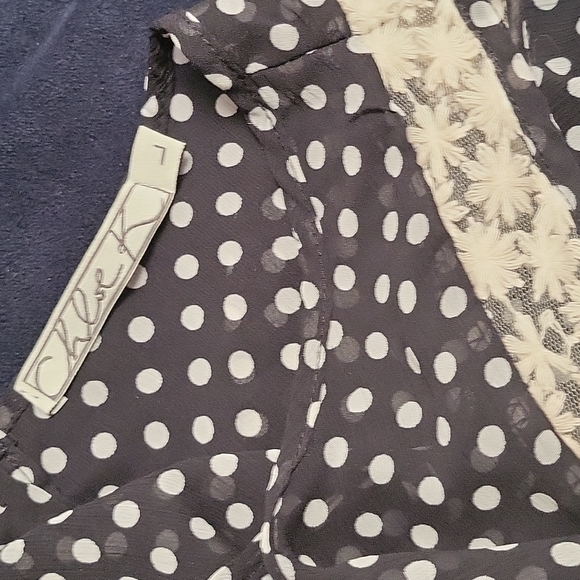 Embroidered Sheer Sleeveless Blouse by Chloe K. - Beautiful!! - Picture 3 of 4